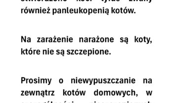 KOTY