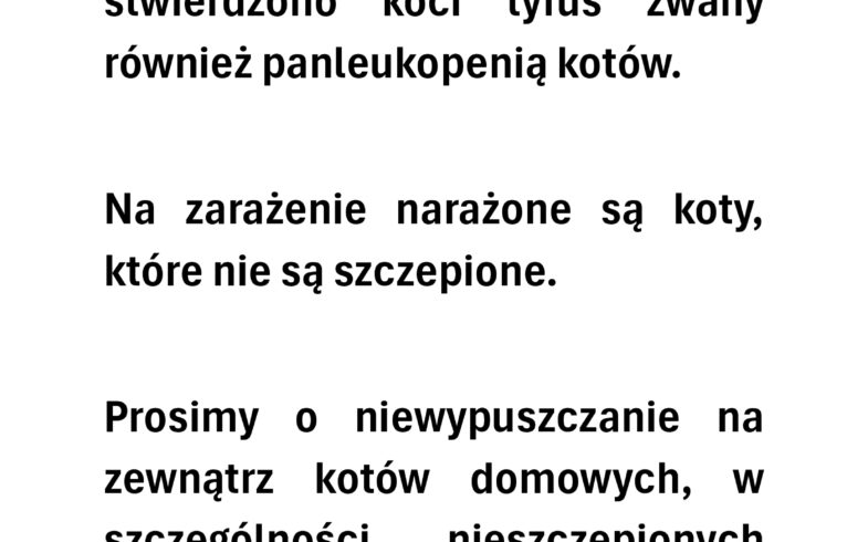 KOTY