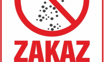 Wyrzucać pieczywo za płot na śmietniku i uznać temat za ekologicznie zamknięty.