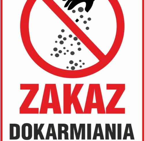 Wyrzucać pieczywo za płot na śmietniku i uznać temat za ekologicznie zamknięty.
